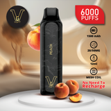 VGPT DISPOSABLE VAPE (6000 Puffs) same day delivery abu dhabi