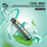 TUGBOAT XXL VAPE DISPOSABLE PODS (2500 Puffs) - Cool Mint - Pods - UAE - KSA - Abu Dhabi - Dubai - 