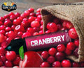 Cranberry 60ml E liquid by Secret Sauce Dubai & Ras Al Khaima UAE