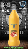IGNITE - V25 (2500+ Puffs) Disposable Vape